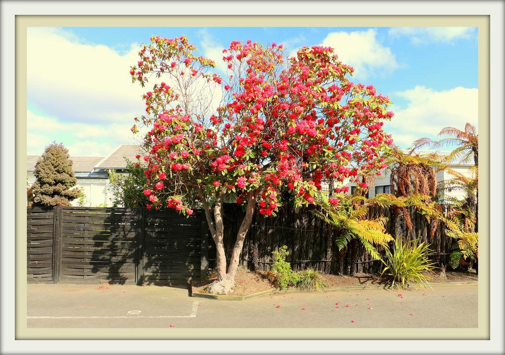 Victoria Lodge Rotorua Eksteriør bilde