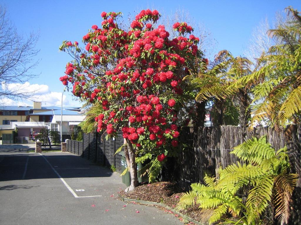 Victoria Lodge Rotorua Eksteriør bilde